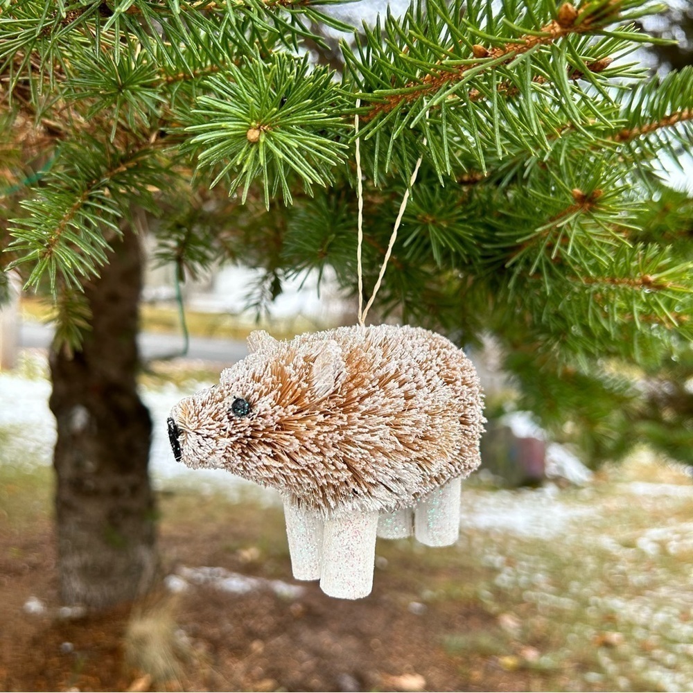 Buri Bristle bear Christmas ornament